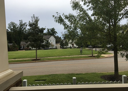 Property For Sale Property For Sale